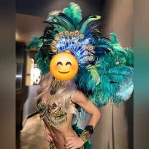 Showgirl Burlesque Samba Feather Costume Backpeice